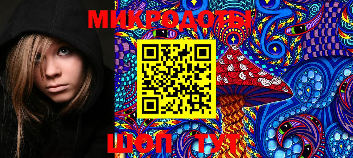 Псилоцибиновые грибы Psilocybine cubensis Черкесск