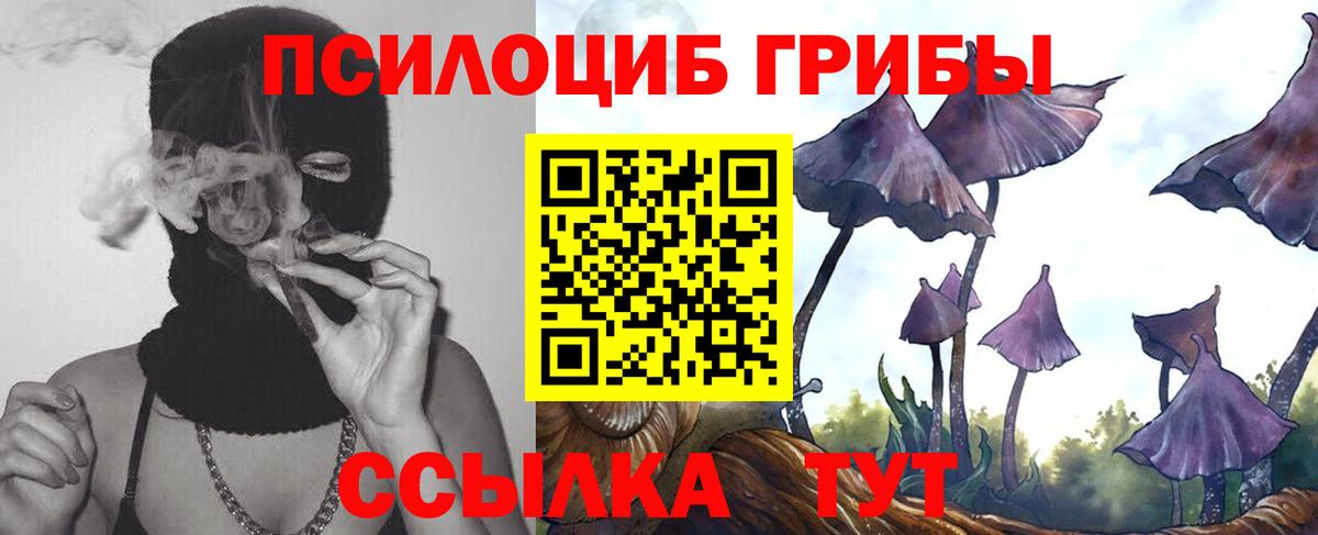 Галлюциногенные грибы Magic Shrooms  Вход с VPN  Черкесск  Псилоцибиновые грибы мухоморы 